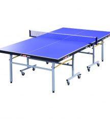 DHS T2023